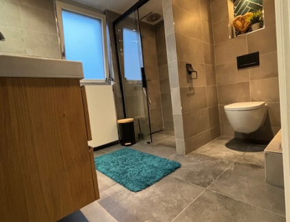 Badkamerrenovatie Sanitairwinkel omgeving Delden